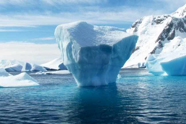 Bilim insanlarından korkutan açıklama! 50 yil içinde yok olacak