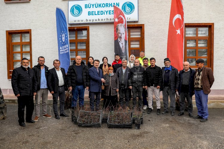 Büyükşehir’de üreticiye fidan ve tohum desteği